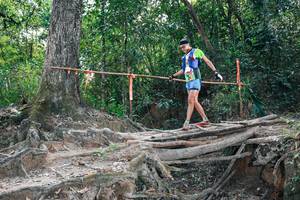 BIB: 
                            <button type="button" onclick="openModal(27805752)" class="btn btn-primary btn-sm float-right btn-popup" data-toggle="modal" data-target=".modal-high-quality">
                        <i class="fas fa-shopping-cart"></i> Add to Cart
                    </button>
                                            <button type="button" onclick="isThisMe(27805752, true)" class="btn btn-success btn-sm float-right btn-popup btn-isme hidden" data-toggle="tooltip" data-placement="bottom" title="นี่คือรูปของคุณใช่ไหม คลิกที่นี่เพื่อเอาเข้าอัลบั้ม">
                        <i class="fas fa-plus"></i> Add to album
                    </button>
                    <button type="button" onclick="isThisMe(27805752, false)" class="btn btn-warning btn-sm float-right btn-popup btn-isnotme hidden">
                        <i class="fas fa-ban"></i> Remove from album
                    </button>